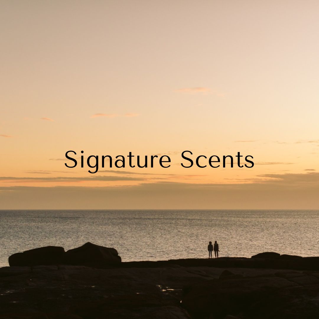 rock shore at sunset.  black text reads signature scents